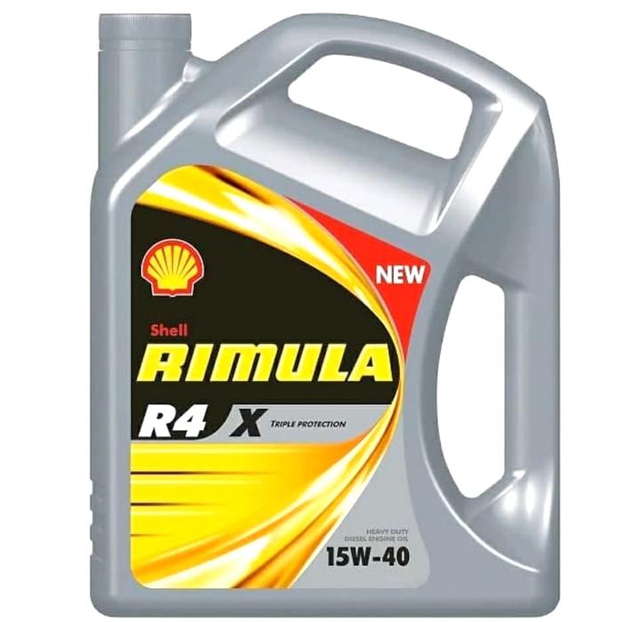 Shell Rimula
